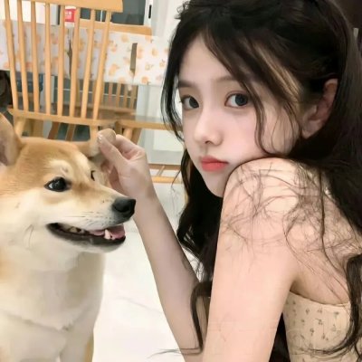 口碑佳作